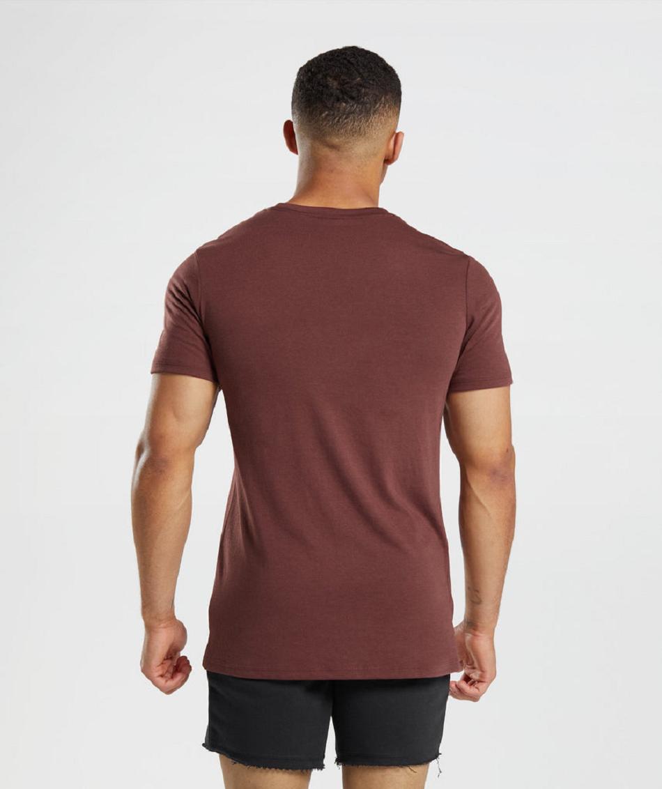 T Shirts Męskie Gymshark Legacy Różowe Brązowe | PL 3860MQZ